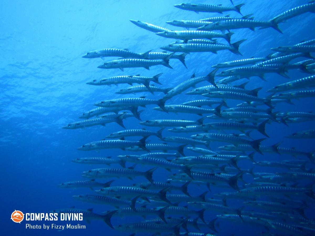 Compass Diving Resort Beloi Экстерьер фото